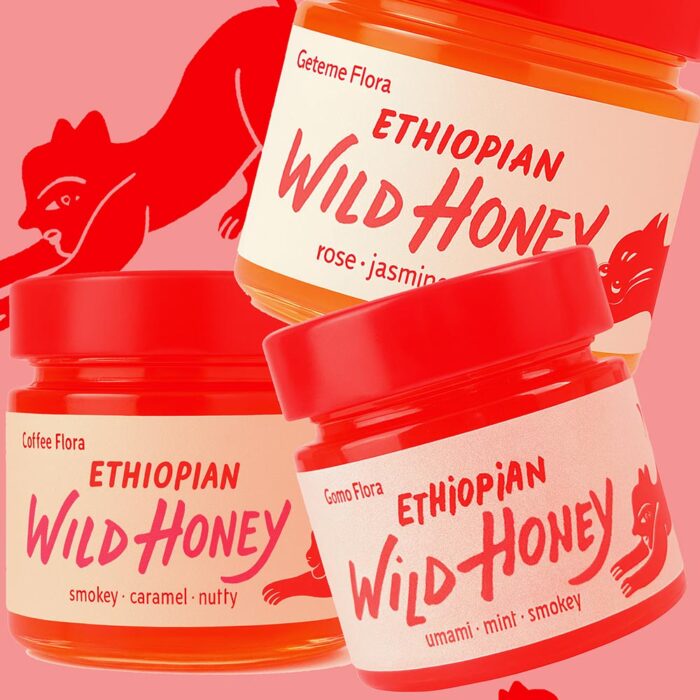 Ethiopian Wild Honey - Collection of 3